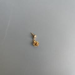 Gouden/goudkleurige oorbel, jak bylo nahlášeno na iLost