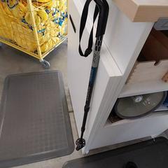 Walking stick baton, as reported by IKEA Brest Guipavas using iLost