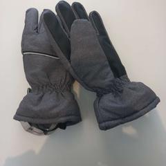 Gloves, as reported by Arriva Limburg Zuid using iLost