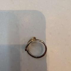 Dzwonić, zgłoszono przez Rijksmuseum van Oudheden przy użyciu iLost