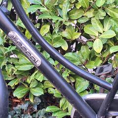 Transportfiets Popal, as reported to iLost