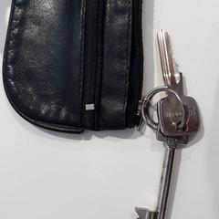 Chaveiro com chaves, como reportado por Gemeente Oost Gelre utilizando o iLost