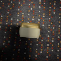 earbuds, iLost에 보고됨