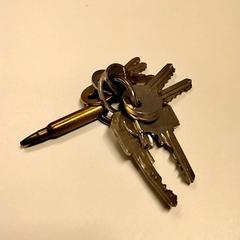 Chaveiro, como reportado por Gemeente Puurs-Sint-Amands utilizando o iLost