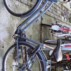 Kvinners sykkel elops, som rapportert av Stadswerk072 ved bruk av iLost