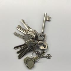 Portachiavi, come riportato da Gemeente Weert utilizzando iLost