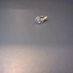 Orecchino, come riportato da SnowWorld Landgraaf utilizzando iLost