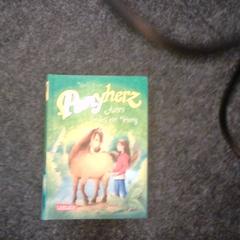 Boek, zoals gemeld door SnowWorld Landgraaf met iLost