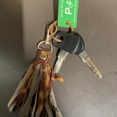 Kľúč, ako bolo nahlásené Pathé Amersfoort pomocou iLost