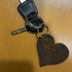 Kľúč, ako bolo nahlásené Fenix pomocou iLost