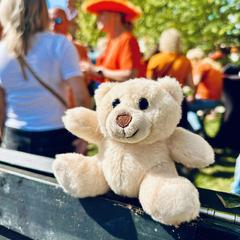 Knuffel beertje, ako bolo nahlásené iLost