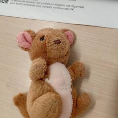 Kosedyr, som rapportert av IKEA Brest Guipavas ved bruk av iLost