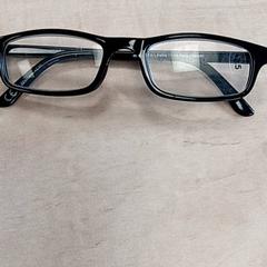 Lesebrille Zwart, gemeldet von Arriva Vechtdallijnen über iLost