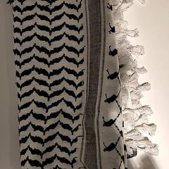 شال، كما تم الإبلاغ عنه بواسطة Bibliotheek Neude (Utrecht) عبر iLost