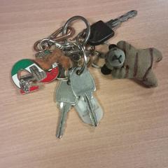 Llavero, ha sido reportado por Pouw Vervoer con iLost