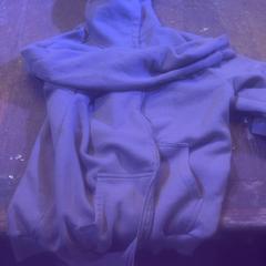 조끼 Donkergrijs, iLost를 사용하여 De Heeren van Aemstel에 보고됨