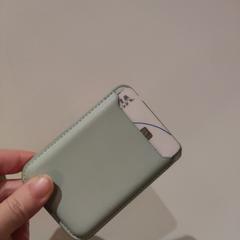 Pasjeshouder Zandbergen mintgroen がiLostに報告されました