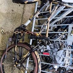 Bicicleta masculina, segundo informou Stadswerk072 usando iLost