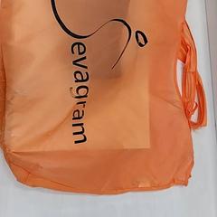 Bag, as reported by Arriva Limburg Zuid using iLost