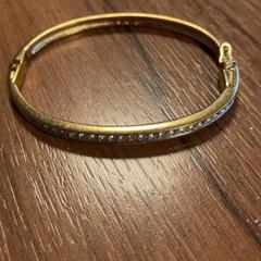 Polsera, segons ha informat Pathé Zaandam mitjançant iLost