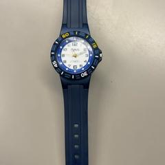 Wristwatch, as reported by Burgers' Zoo using iLost