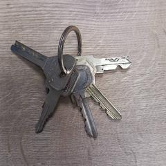 Schlüsselanhänger, gemeldet von Pouw Vervoer über iLost