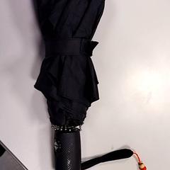 Deštník Zwart, jak nahlášeno Vrije Universiteit Amsterdam pomocí iLost