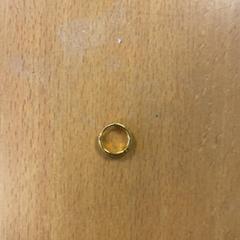 Brinco earing, como reportado por Inntel Hotels Amsterdam Centre utilizando o iLost