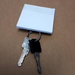 Sleutels Paars adreslabel, iLost를 사용하여 Arriva Friesland / Groningen에 보고됨