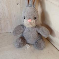 Knuffel Konijn, segons ha informat DierenPark Amersfoort mitjançant iLost