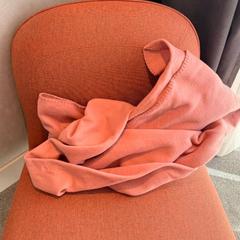 Blanket dekentje, as reported by Van der Valk Hotel Deventer using iLost