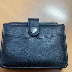 Zorroa, gisa salatu by Gemeente Zutphen iLost erabiliz