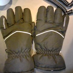Rękawiczki, zgłoszono przez SnowWorld Landgraaf przy użyciu iLost