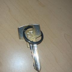 Clau, segons ha informat Jaarbeurs mitjançant iLost