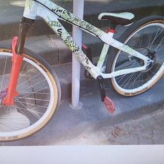 Gyermek kerékpár Wit, amint azt Gemeente Rhenen az iLost segítségével jelentette.