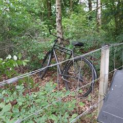 Zwarte fiets zonder slot, as reported to iLost