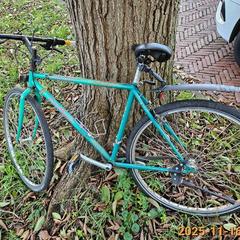 Bizikleta groen, gisa salatu by Gemeente Heemstede iLost erabiliz