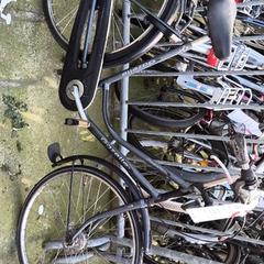 Dámsky bicykel Gazelle, ako bolo nahlásené Stadswerk072 pomocou iLost