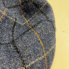 Pet, zoals gemeld door HTM met iLost