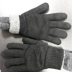 Handschuhe Zwart, gemeldet von Arriva Vechtdallijnen über iLost