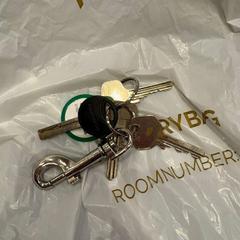Key, as reported by Van der Valk Hotel Gorinchem using iLost