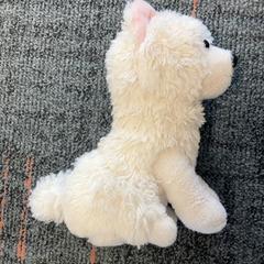 Knuffel, come riportato da Connexxion Amstelland-Meerlanden Schiphol Zuid utilizzando iLost