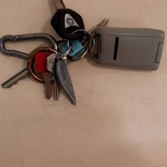 Keychain met 6 sleutels + 1 garageopener, as reported by Gemeente Diepenbeek using iLost