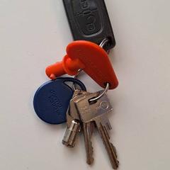 Llaves Autosleutels, ha sido reportado por Gemeente Meierijstad con iLost