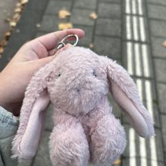 Pink bunny plushie Keychain, som rapporterats till iLost
