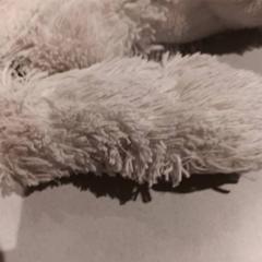 Peluche, come riportato da De Efteling utilizzando iLost
