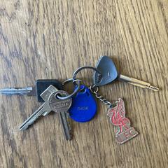 Sleutelbos, iLost'a bildirildiği gibi