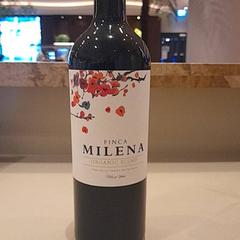 Víno, ako bolo nahlásené Van der Valk Hotel Schiphol pomocou iLost