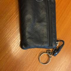 Cartera, segons ha informat Blauwnet Zwolle mitjançant iLost