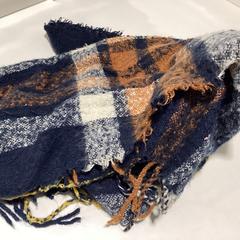 Xal -090126 ANDRE1, segons ha informat Ziggo Dome mitjançant iLost